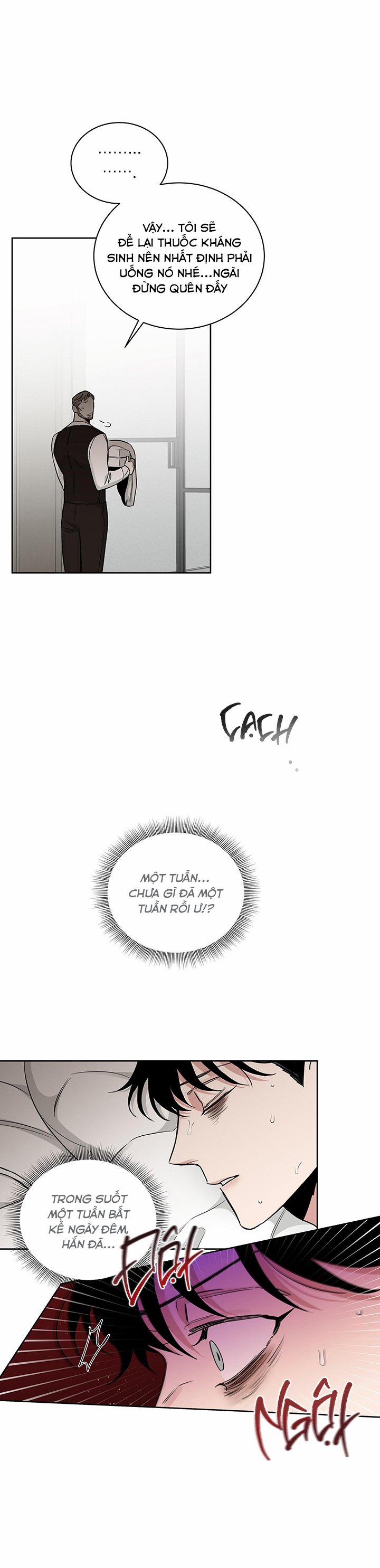 Đoá Hồng Và Ly Champagne 43 trang 12