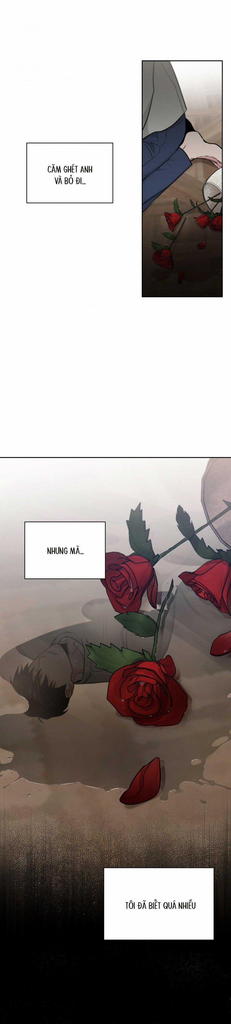 Đoá Hồng Và Ly Champagne 46.5 trang 13