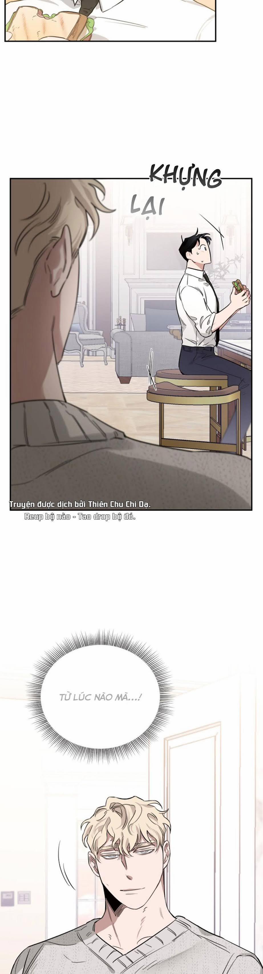 Đoá Hồng Và Ly Champagne 8 trang 28