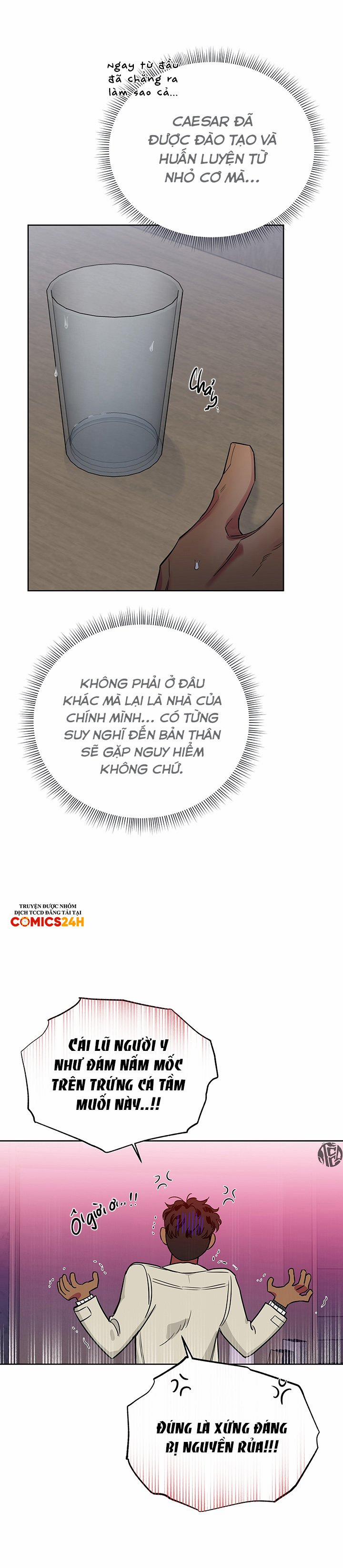 Đoá Hồng Và Ly Champagne Ngoại truyện 12 trang 10