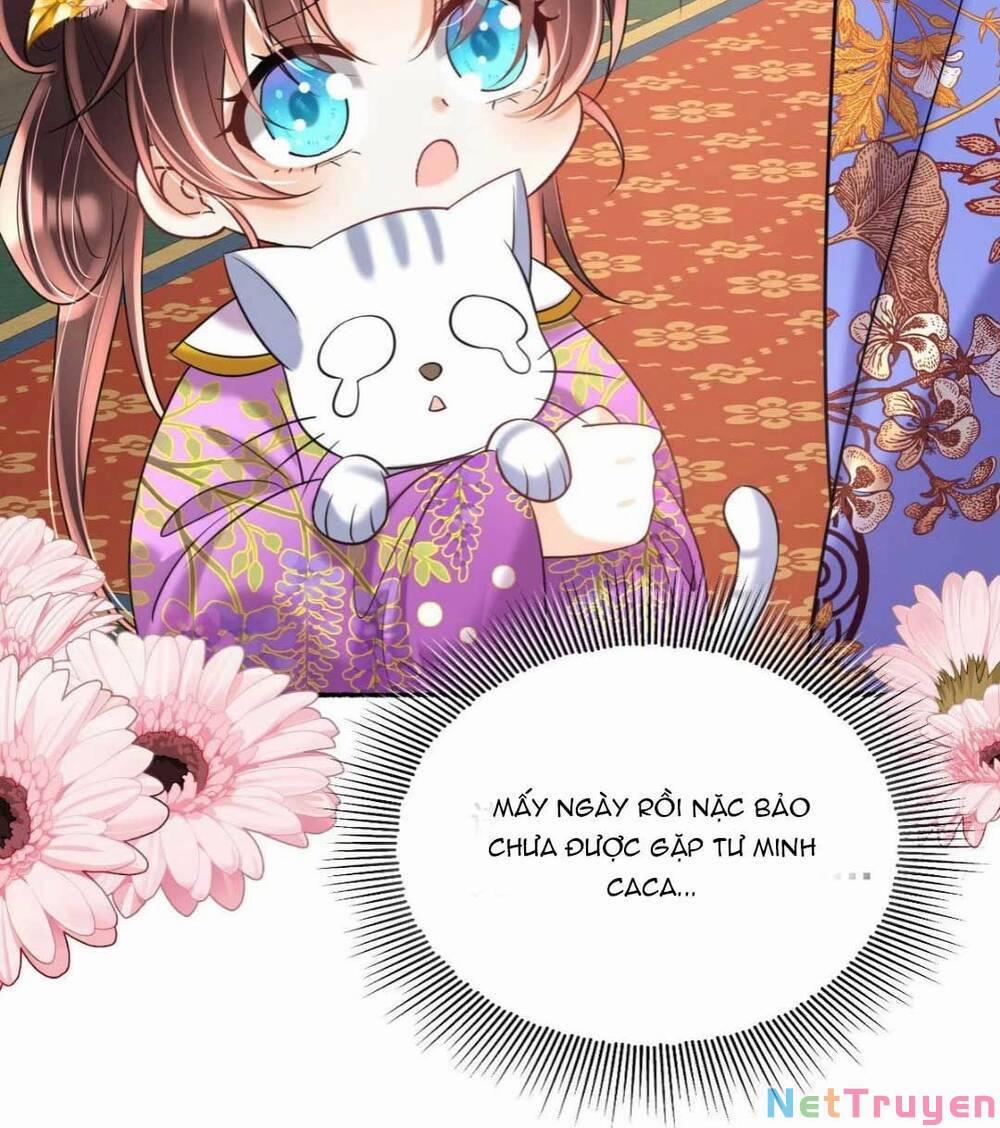 Đoàn Sủng Tiểu Kiều Của Ba Ba Bạo Quân 19 trang 43