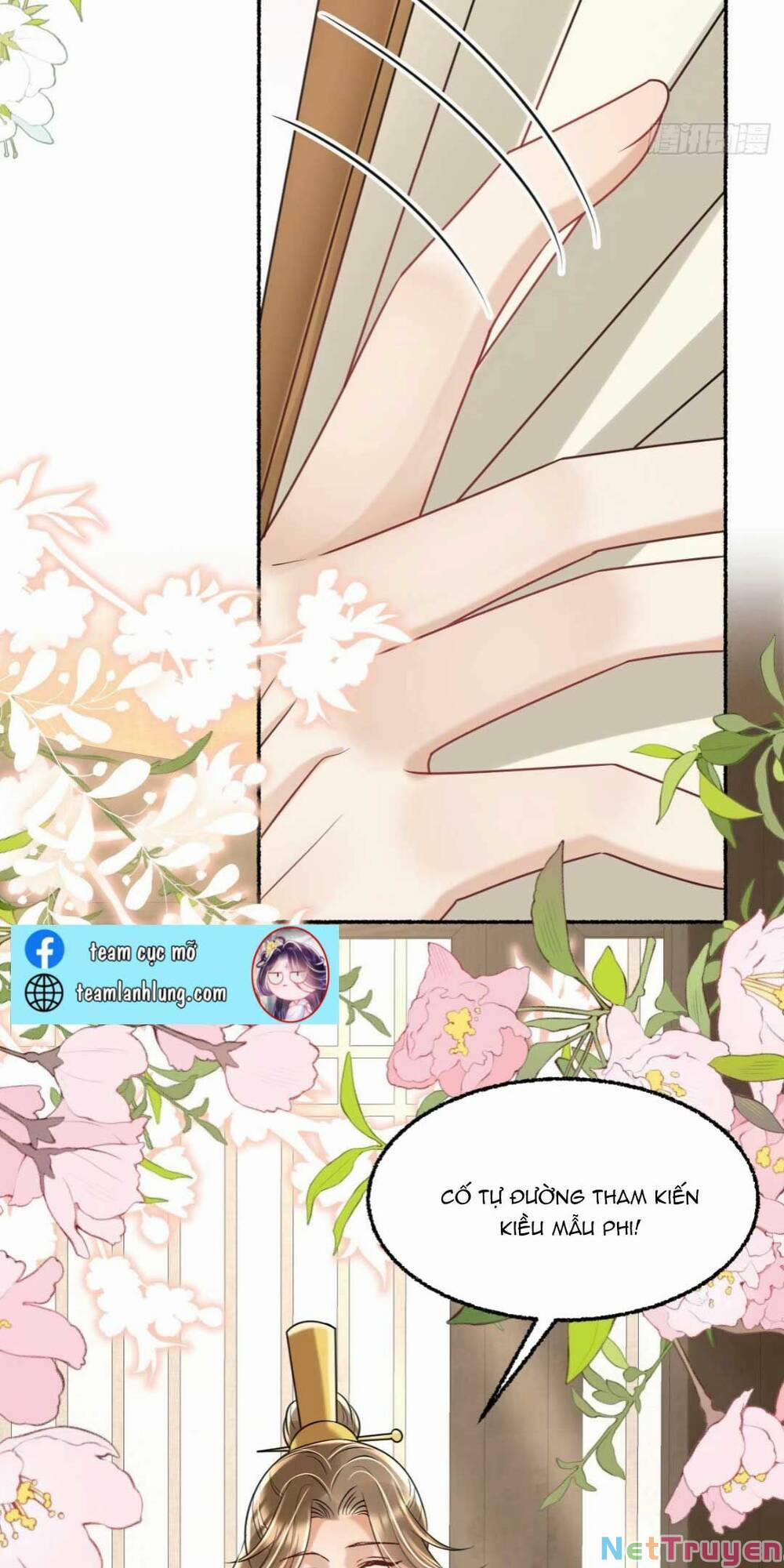 Đoàn Sủng Tiểu Kiều Của Ba Ba Bạo Quân 19 trang 45