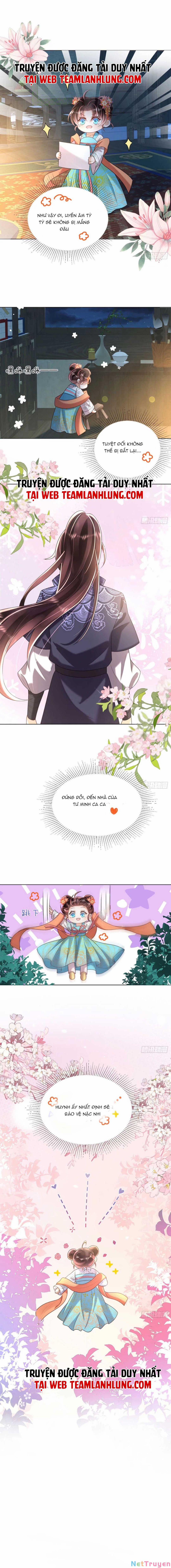 Đoàn Sủng Tiểu Kiều Của Ba Ba Bạo Quân 8 trang 6