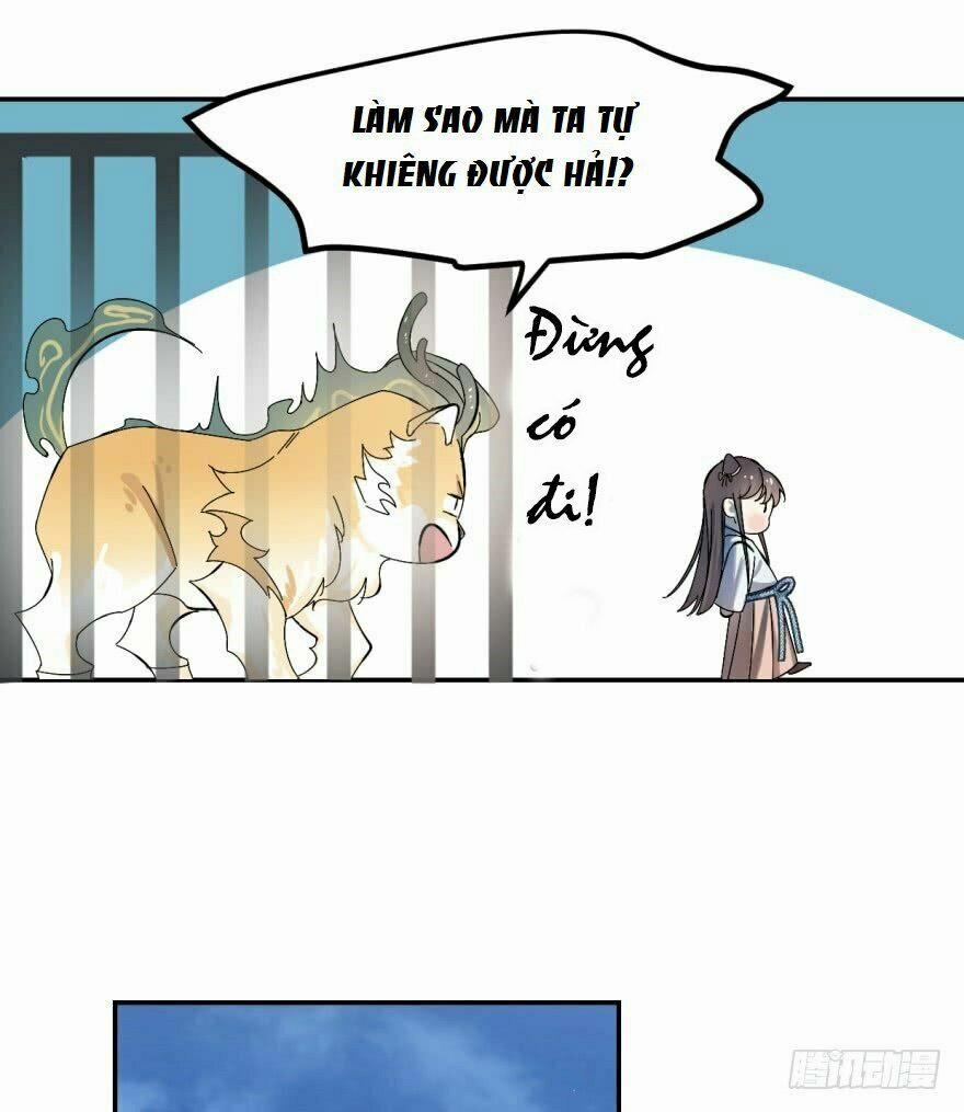 Độc Bộ Thiên Hạ: Đặc Công Thần Y 4 trang 11