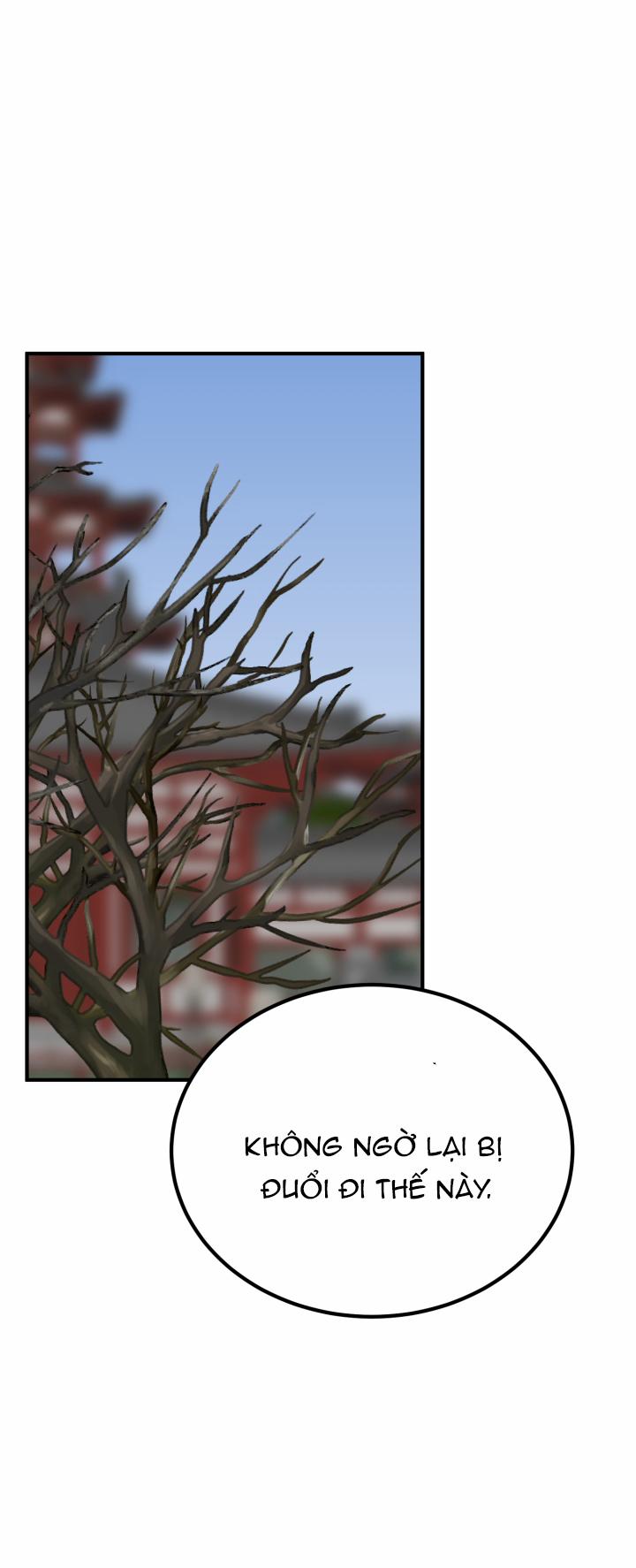 Độc Chủ 32 trang 12