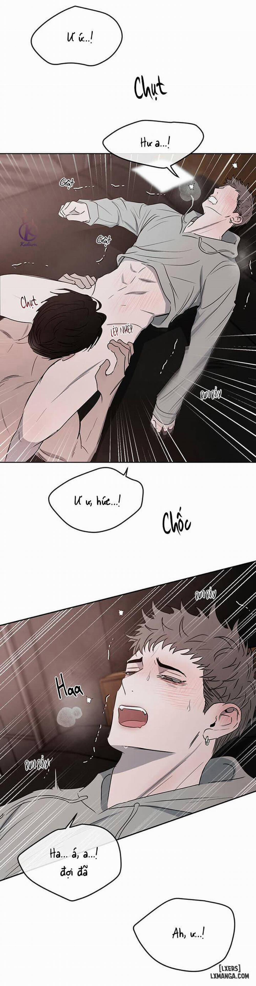 Đối lập 13 trang 17