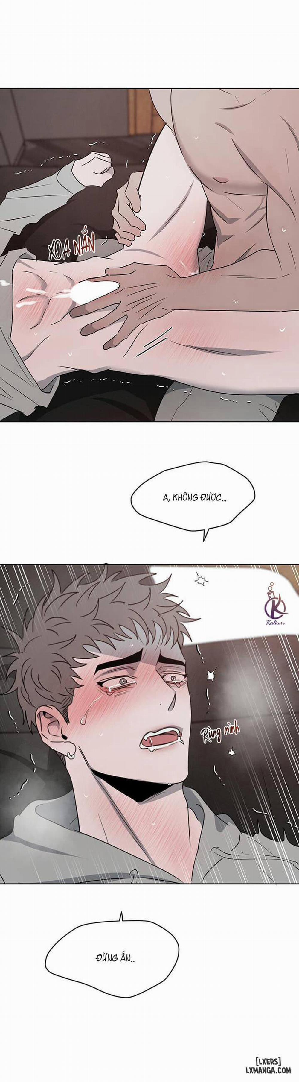 Đối lập 14 trang 28