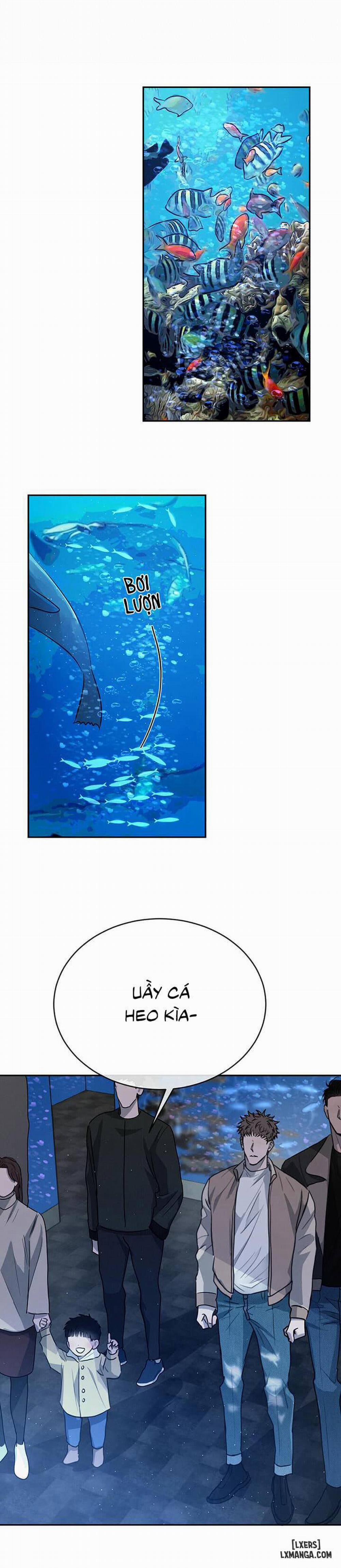 Đối lập 21 trang 10