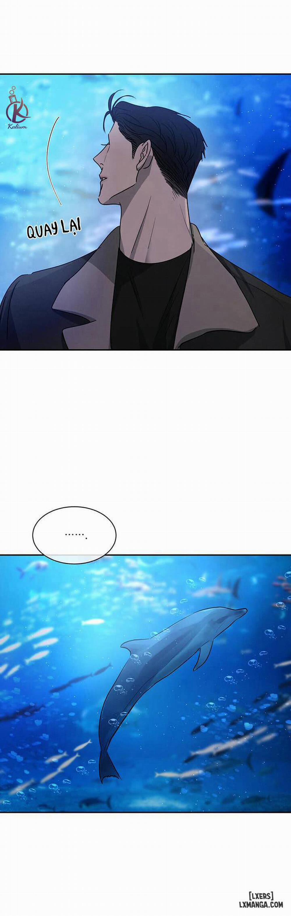 Đối lập 21 trang 21