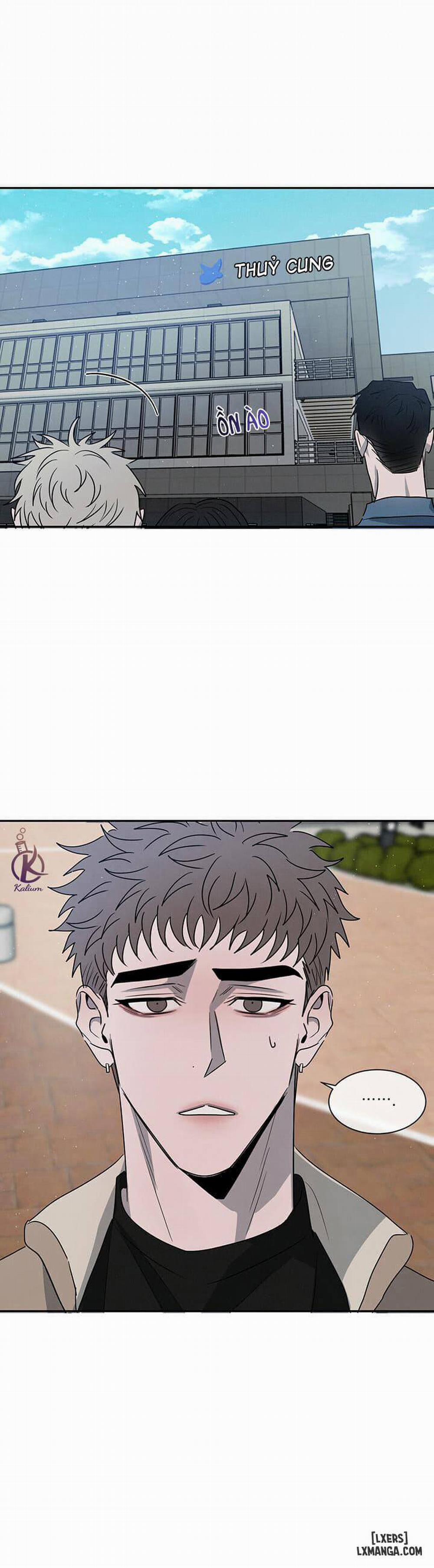 Đối lập 21 trang 5