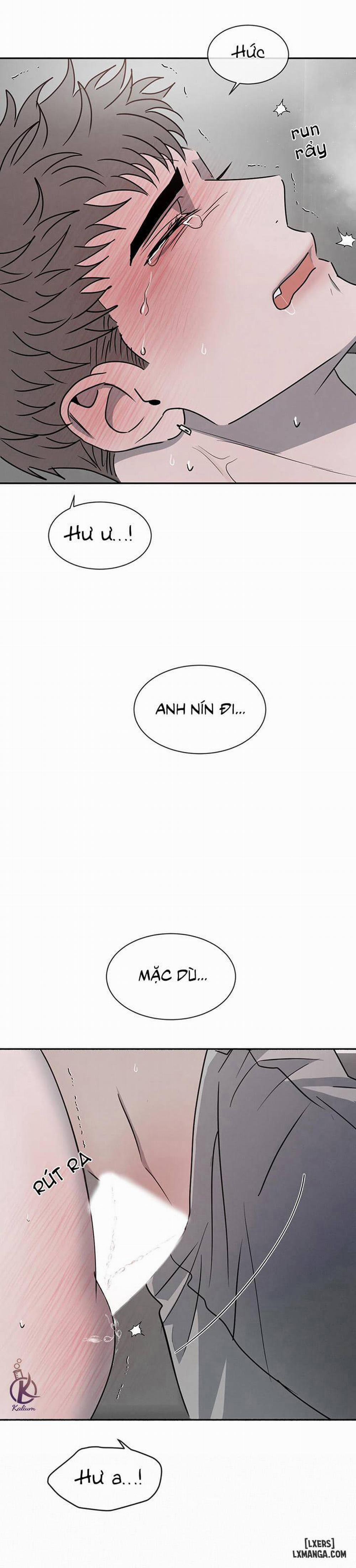 Đối lập 23 trang 21