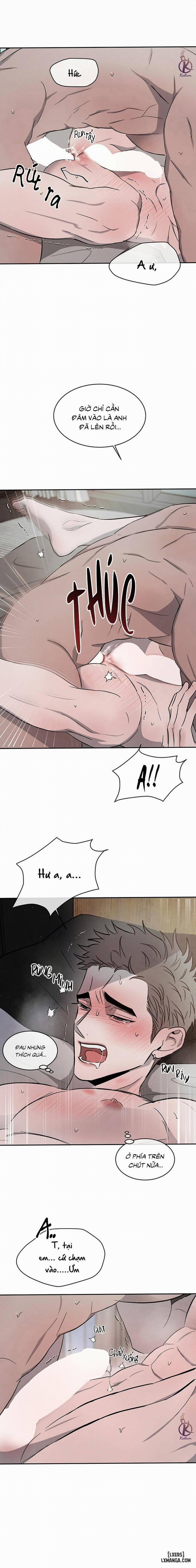 Đối lập 36 trang 8