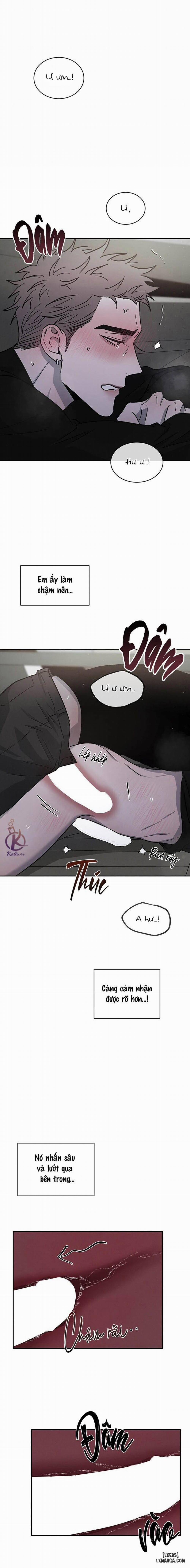 Đối lập 45 trang 13