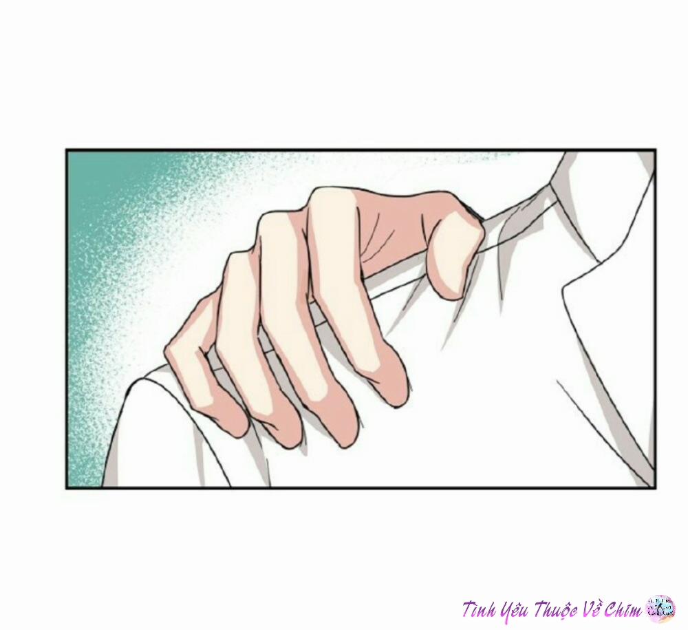 Đối Tác An Toàn 4 trang 43