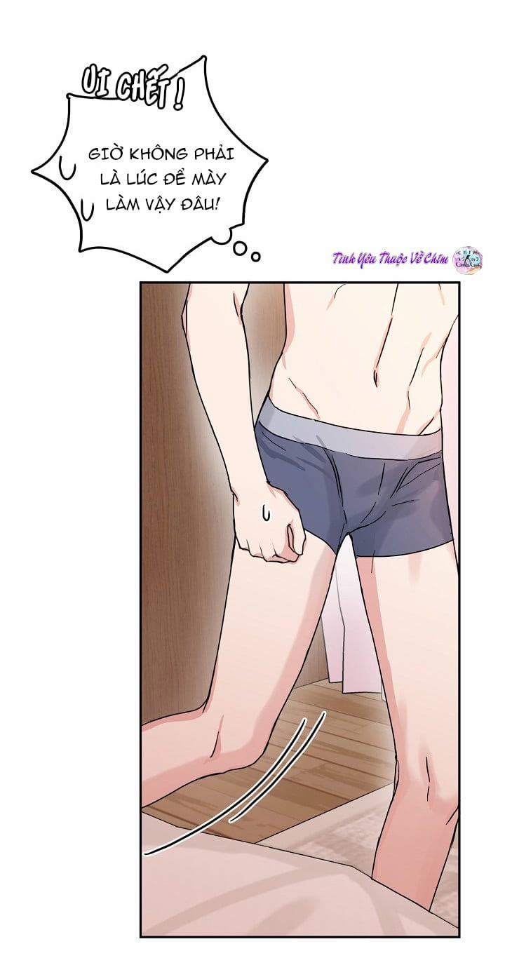 Đối Tác An Toàn 7 trang 16