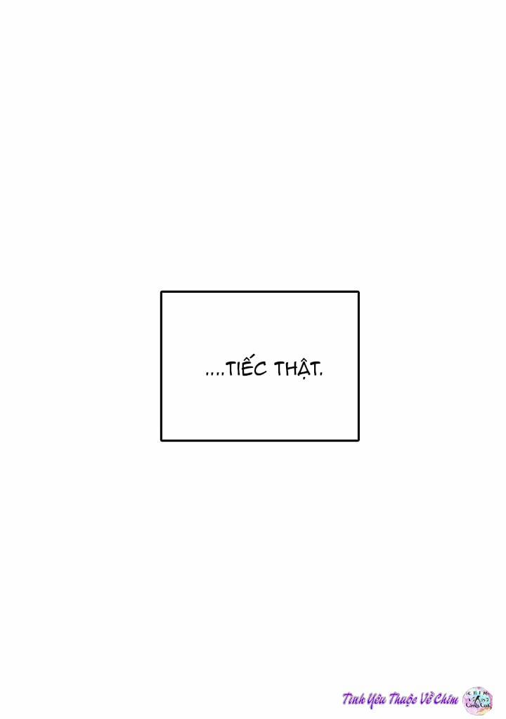 Đối Tác An Toàn 7 trang 30