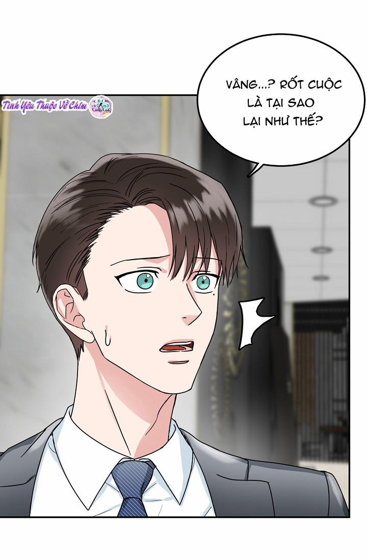 Đối Tác An Toàn 8 trang 13