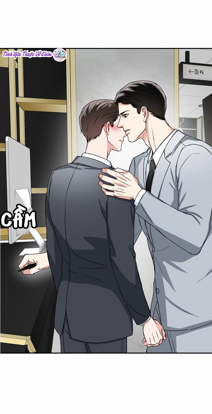 Đối Tác An Toàn 8 trang 17