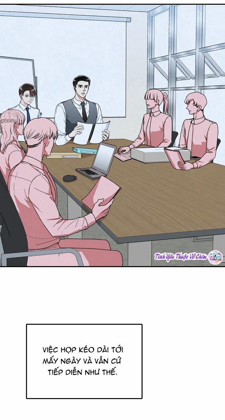 Đối Tác An Toàn 8 trang 2