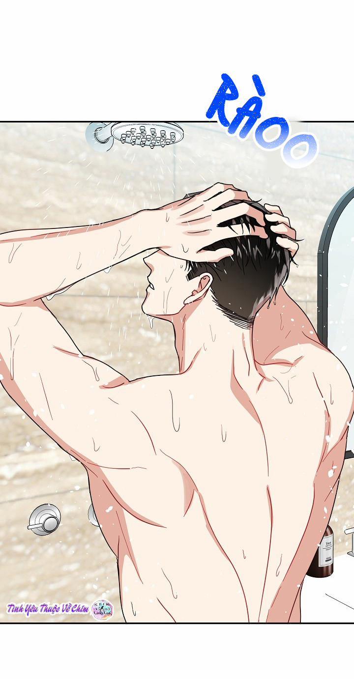 Đối Tác An Toàn 8 trang 24