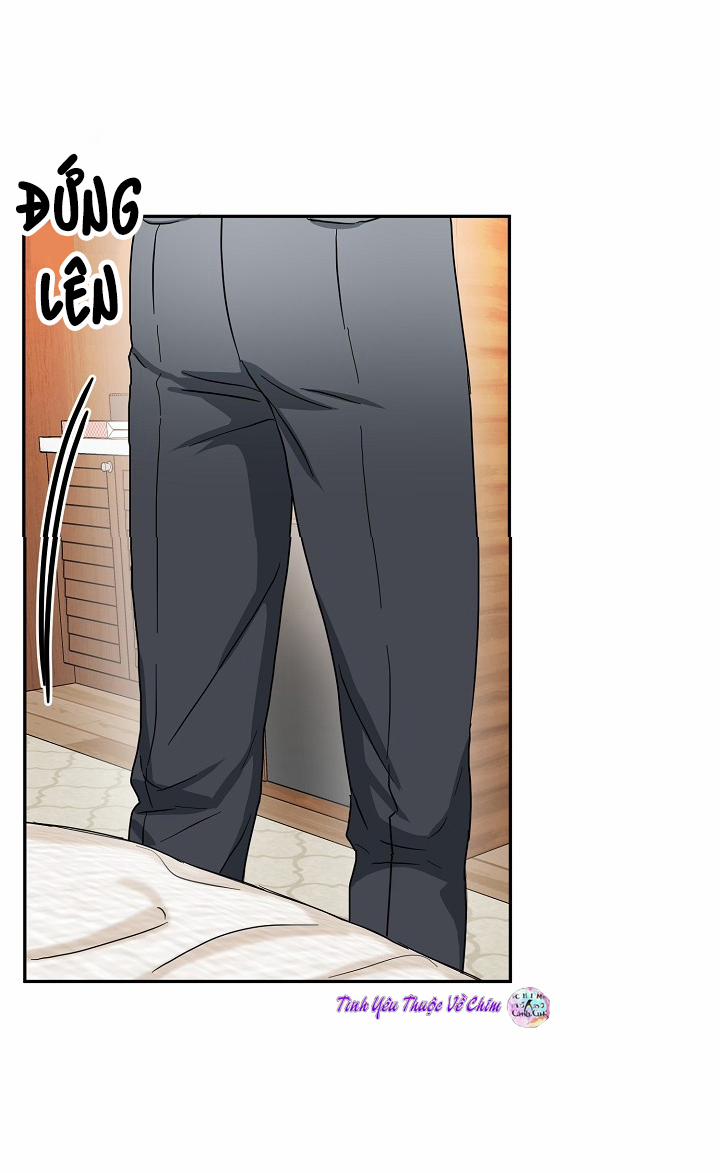 Đối Tác An Toàn 8 trang 28