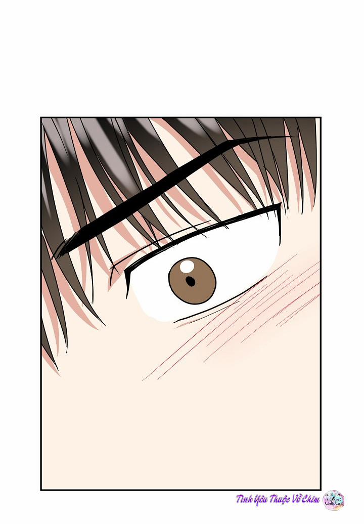 Đối Tác An Toàn 8 trang 53