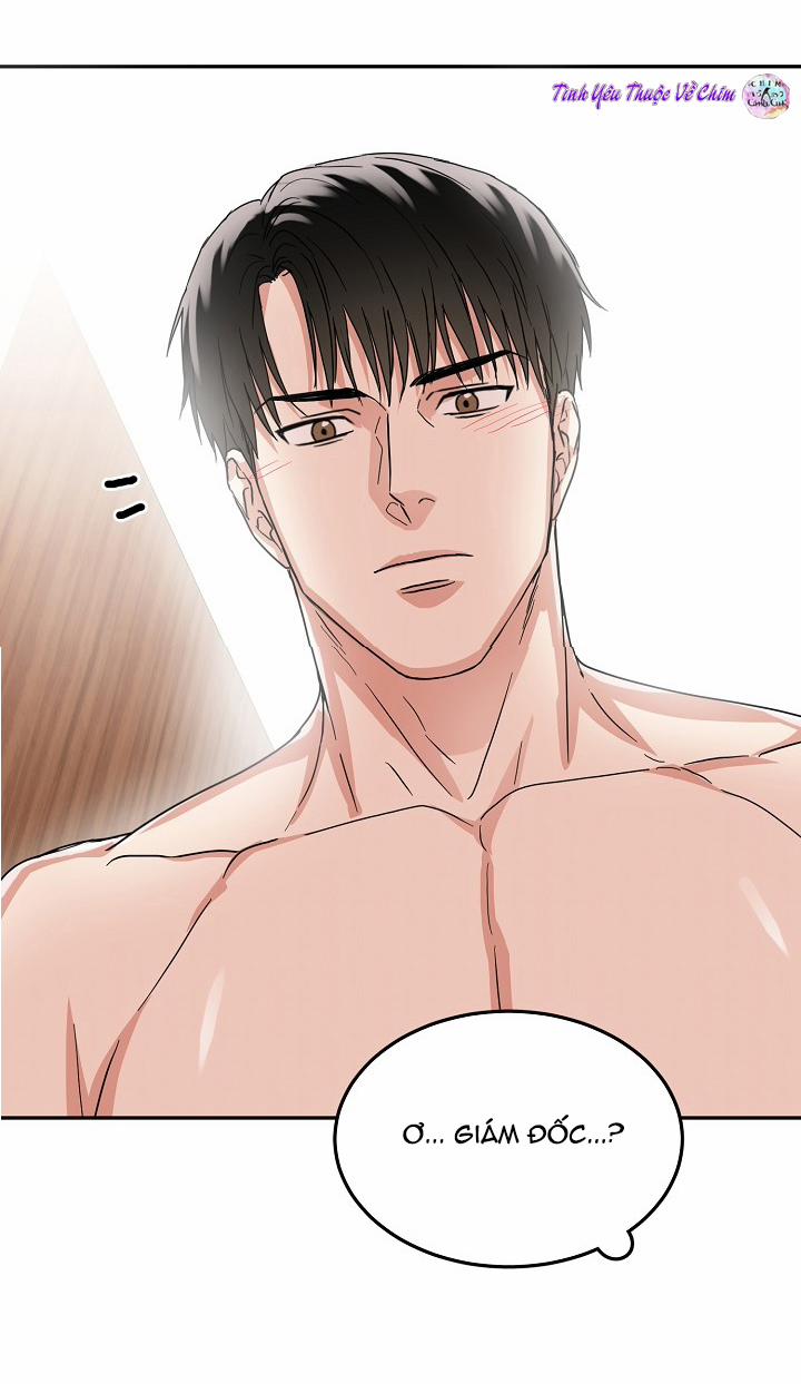 Đối Tác An Toàn 8 trang 56