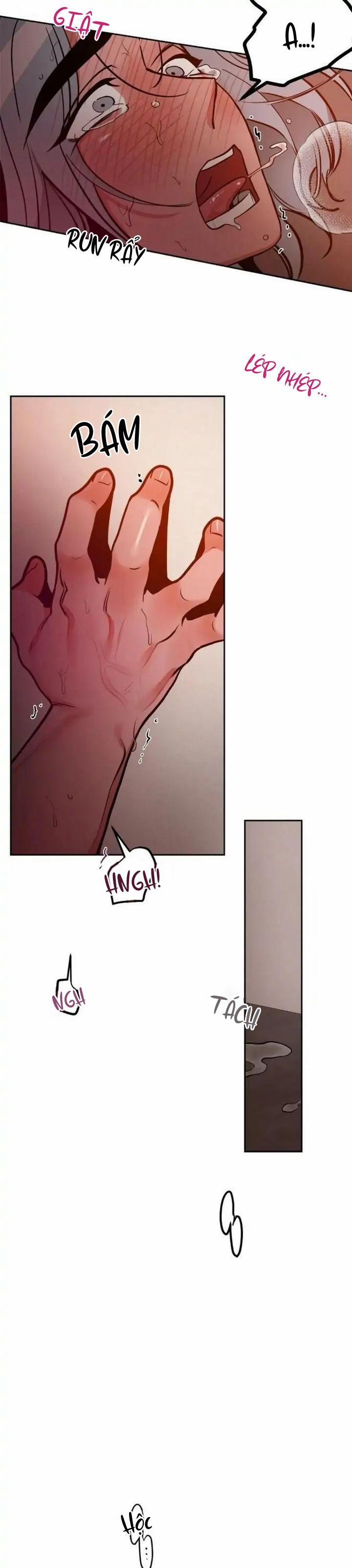 Đối Tác Cơ Thể Hoàn Hảo 15 trang 13