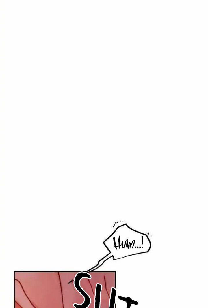 Đối Tác Cơ Thể Hoàn Hảo 20 trang 55