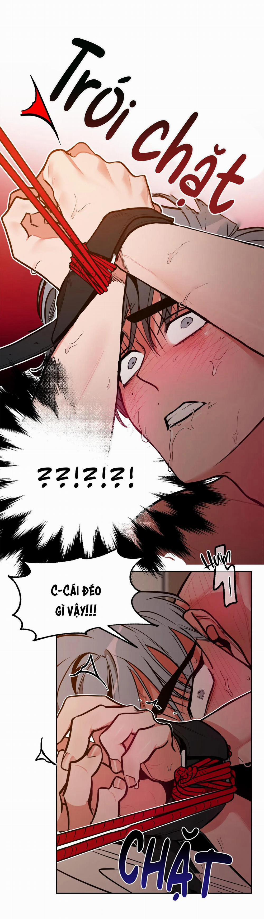 Đối Tác Cơ Thể Hoàn Hảo 7 trang 0