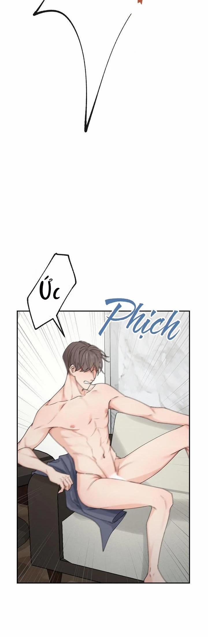 Đối Tác Hoàn Hảo 2 trang 11