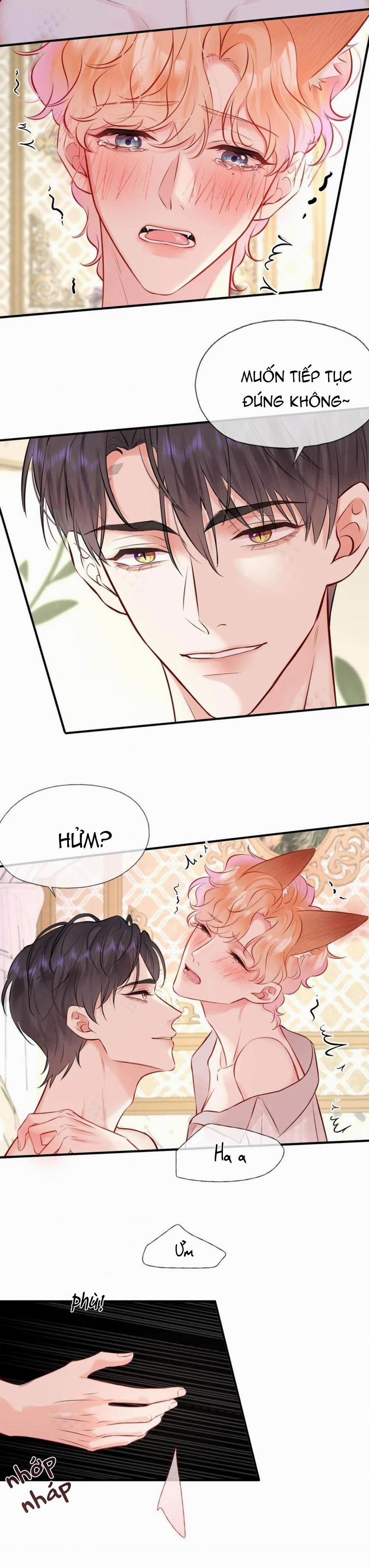 ĐỐI TƯỢNG CÔNG LƯỢC! THIẾT LẬP TÍNH CÁCH CỦA ANH BỊ MÉO MÓ RỒI! 13 trang 5