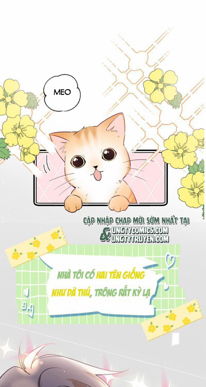 Đối Tượng Sống Chung Là Tình Địch Thì Phải Làm Sao 0 Văn án trang 0