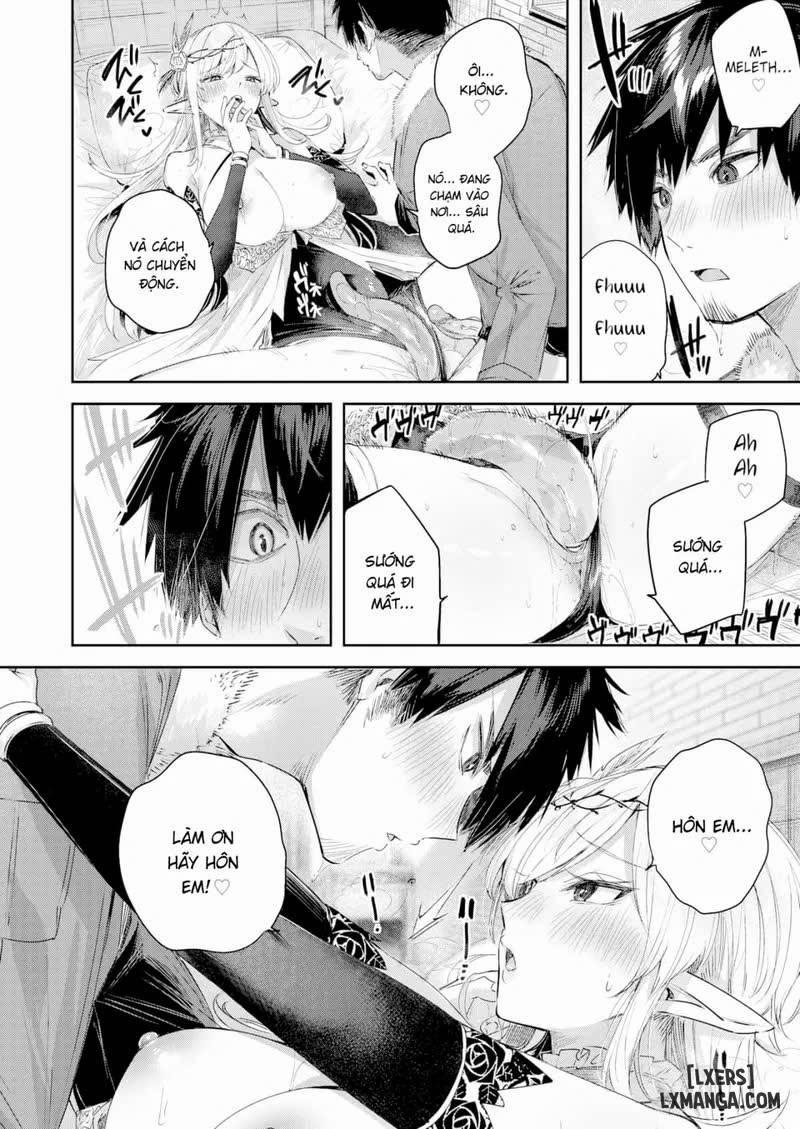 Dokushinn Hunter no Deai ha Elf no Mori de 4 trang 14