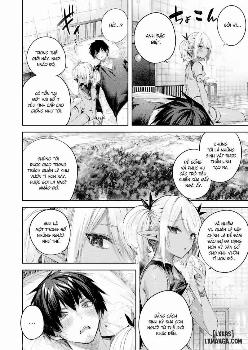 Dokushinn Hunter no Deai ha Elf no Mori de 5 trang 6