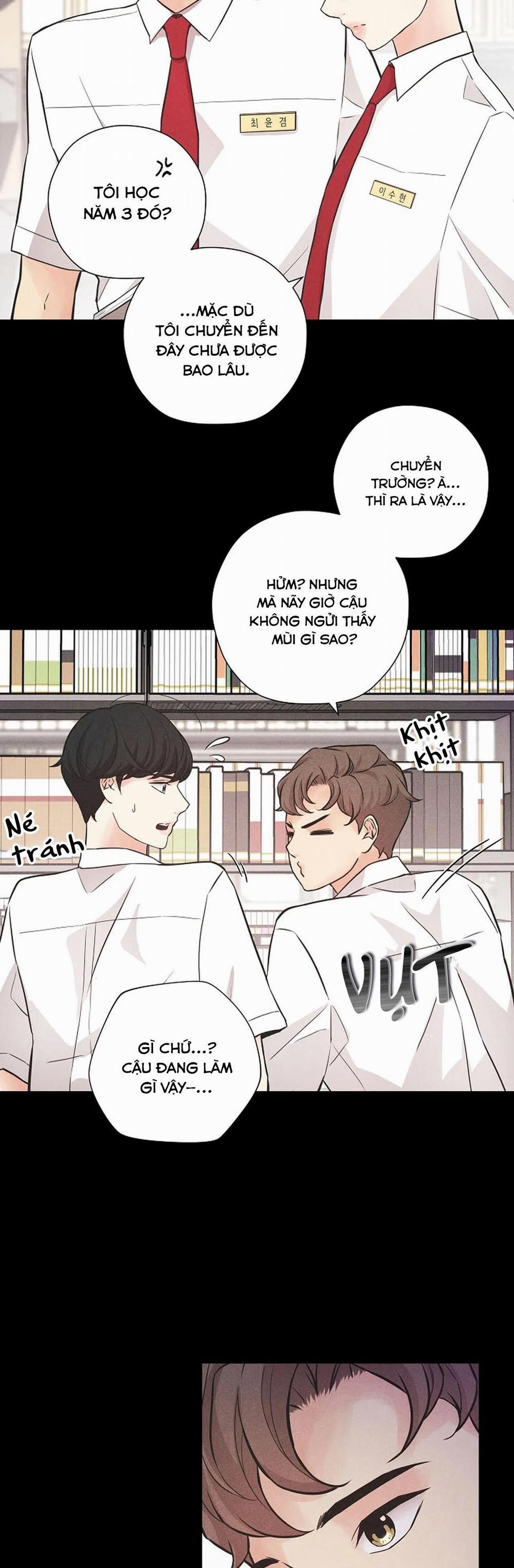 Dòng Chảy Xa Bờ 2 0 2 trang 13