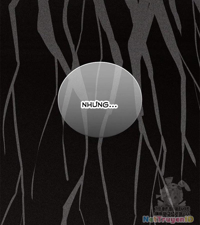 Đột Kích Giả 28 trang 18