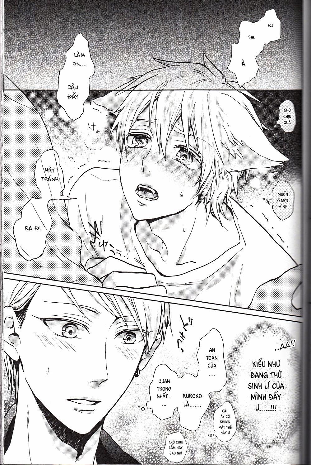 Doujinshi Của Kuroko No Basket Ball 6 trang 14