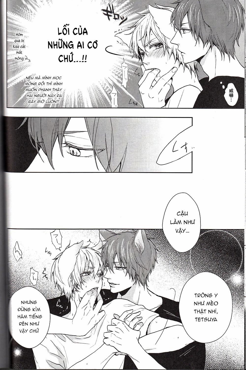 Doujinshi Của Kuroko No Basket Ball 6 trang 17