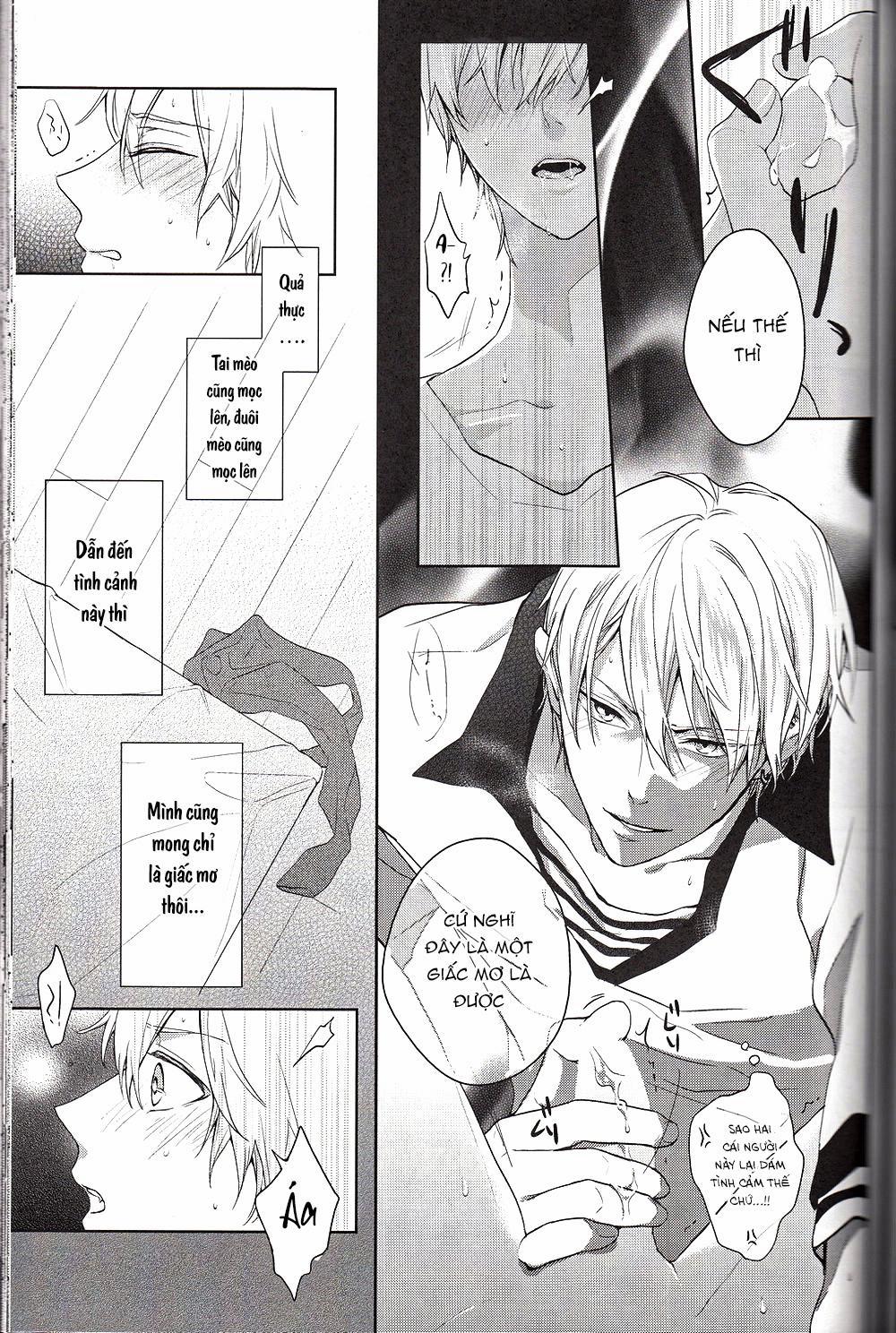 Doujinshi Của Kuroko No Basket Ball 6 trang 20