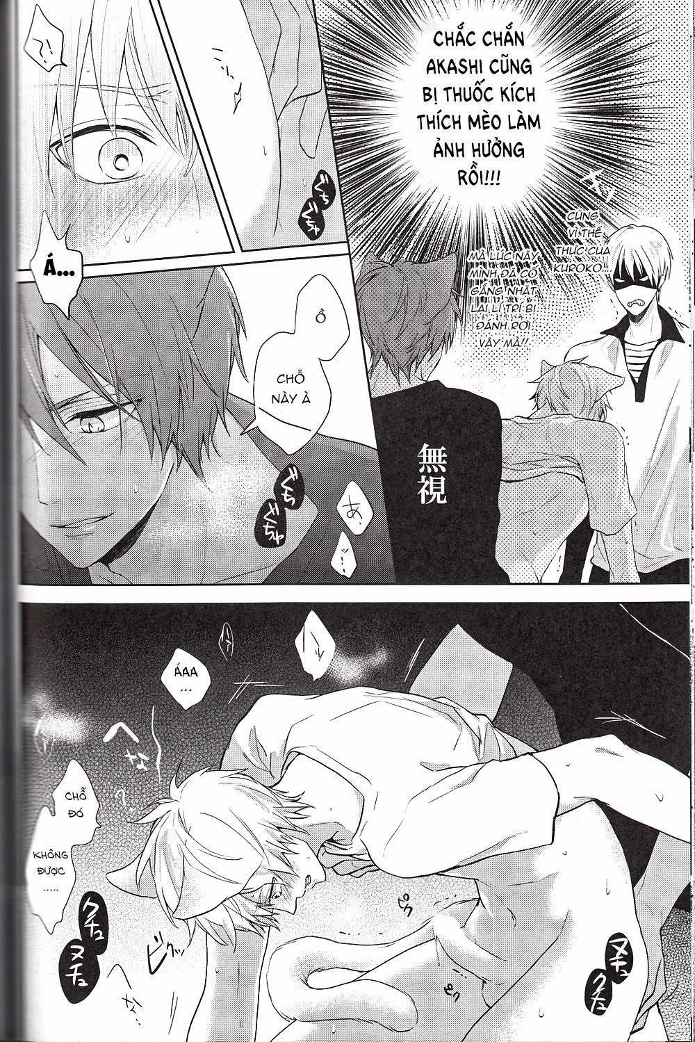 Doujinshi Của Kuroko No Basket Ball 6 trang 27