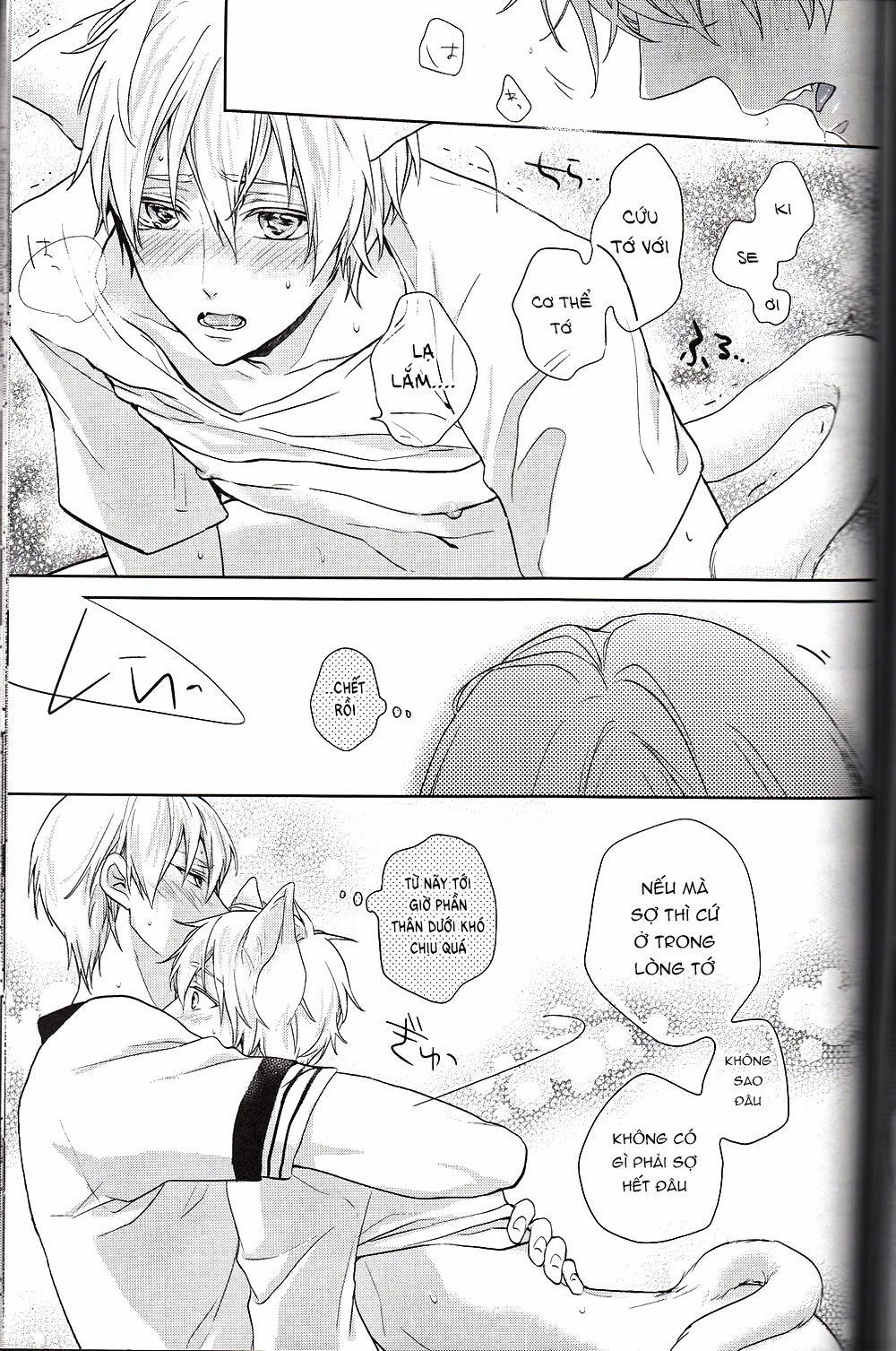 Doujinshi Của Kuroko No Basket Ball 6 trang 28