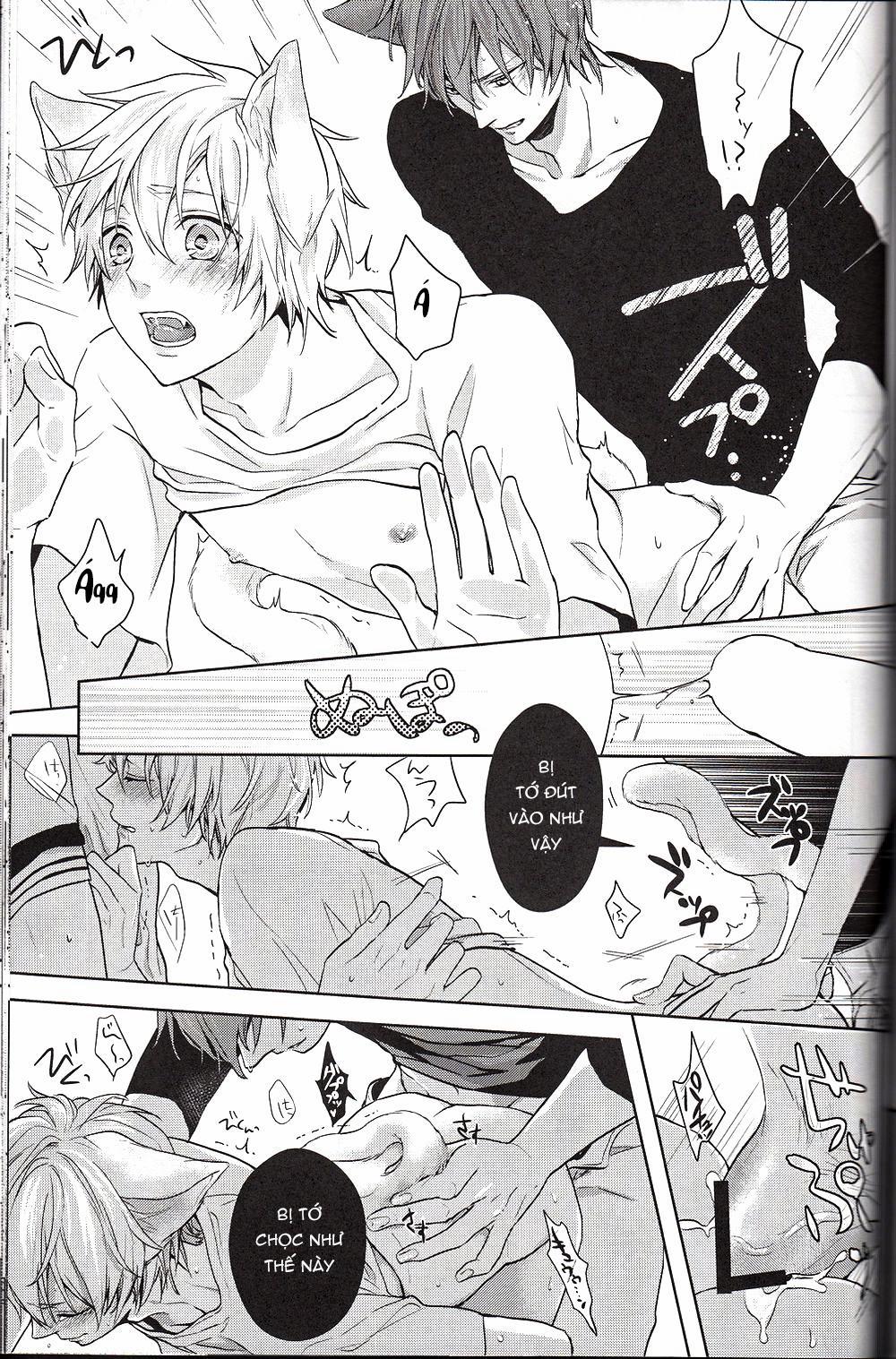 Doujinshi Của Kuroko No Basket Ball 6 trang 34