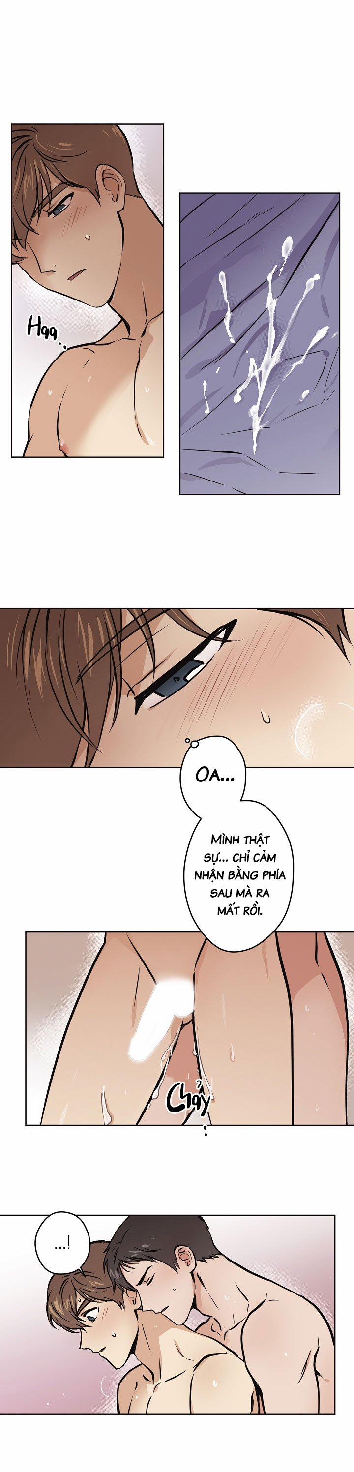 Dream Sign 19 trang 15