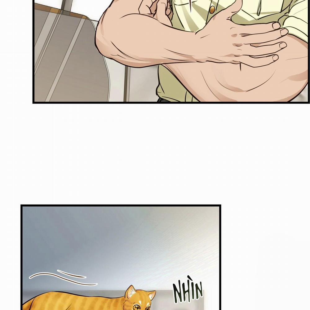[Drop] Người Lạ Trong Gương 13 trang 11