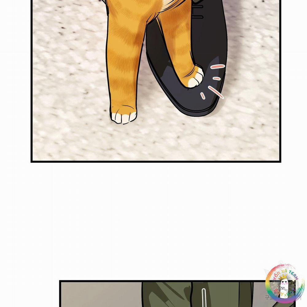 [Drop] Người Lạ Trong Gương 13 trang 26