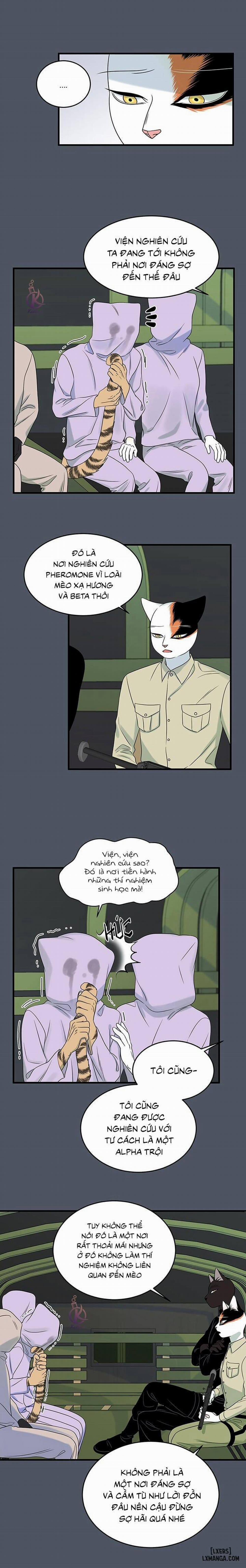 Dự án xanh 39 trang 10