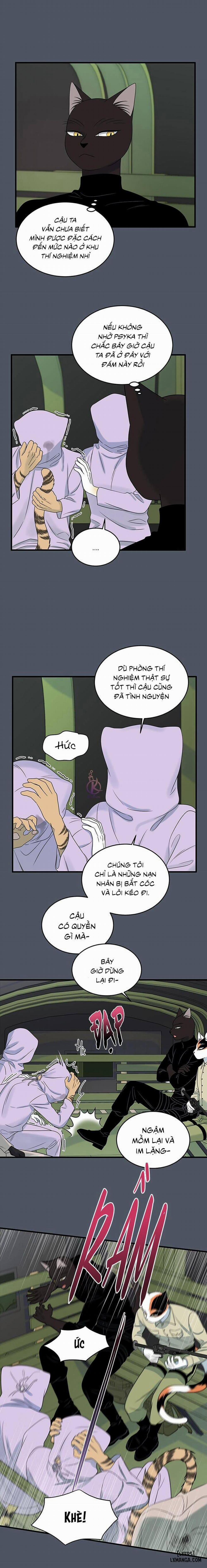 Dự án xanh 39 trang 11