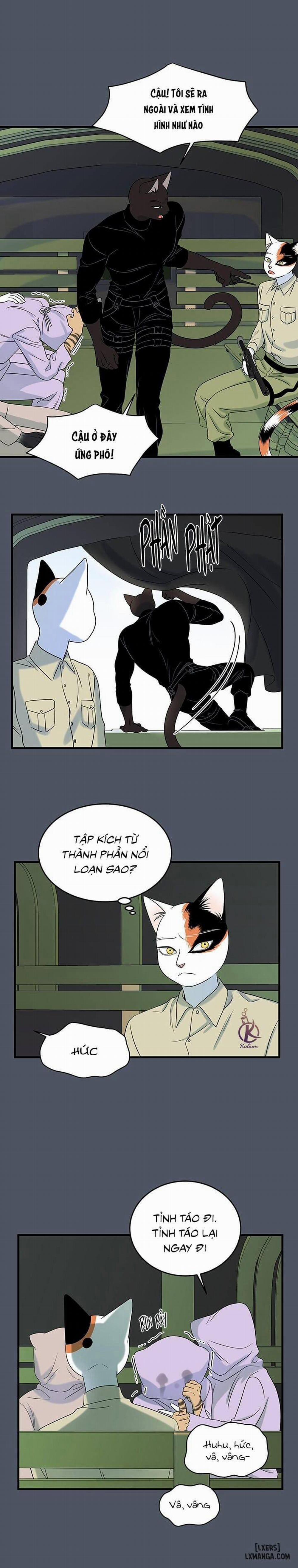 Dự án xanh 39 trang 13