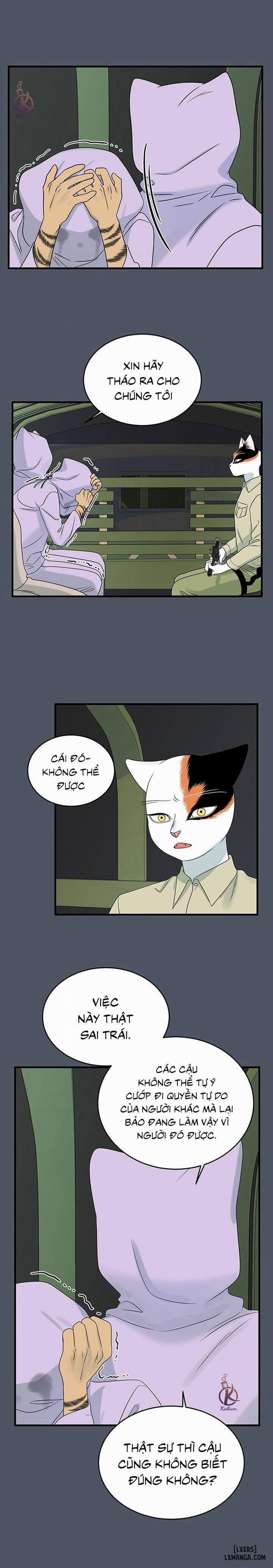 Dự án xanh 39 trang 14